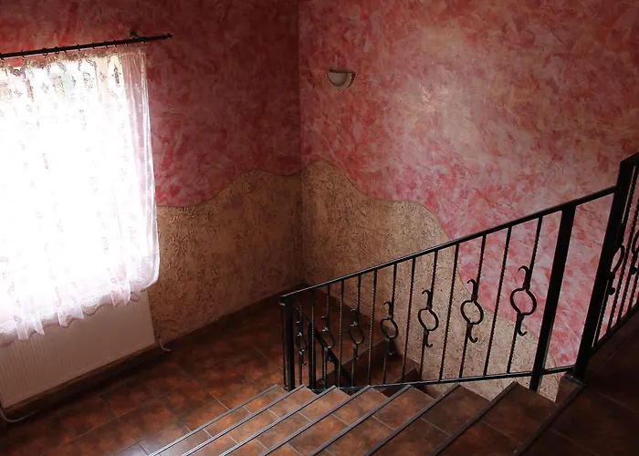 Zakarpattya 酒店 *