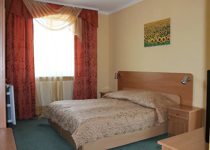 Zakarpattya 酒店 *