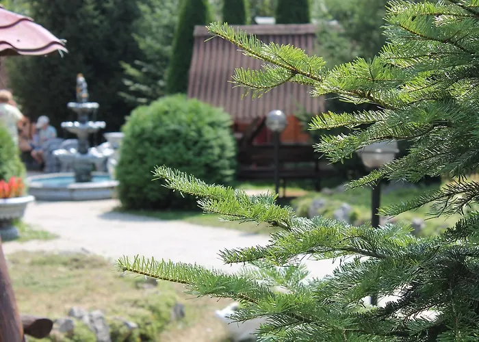 酒店 Zakarpattya