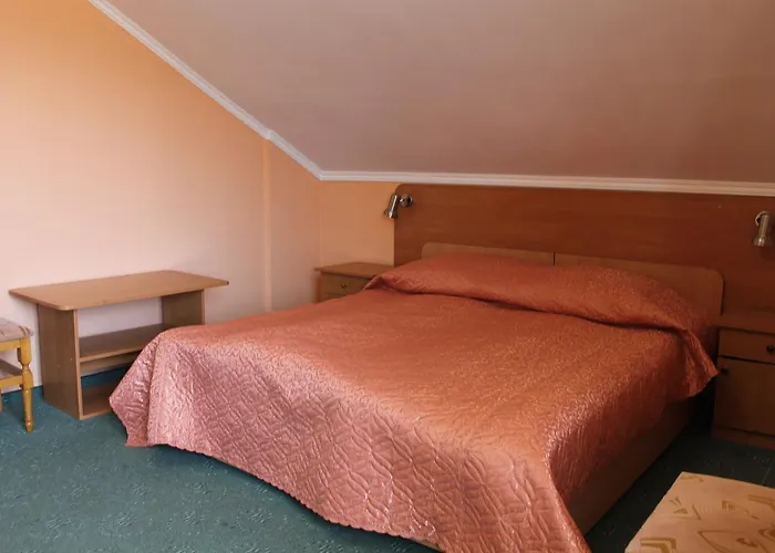 Hotell Zakarpattya
